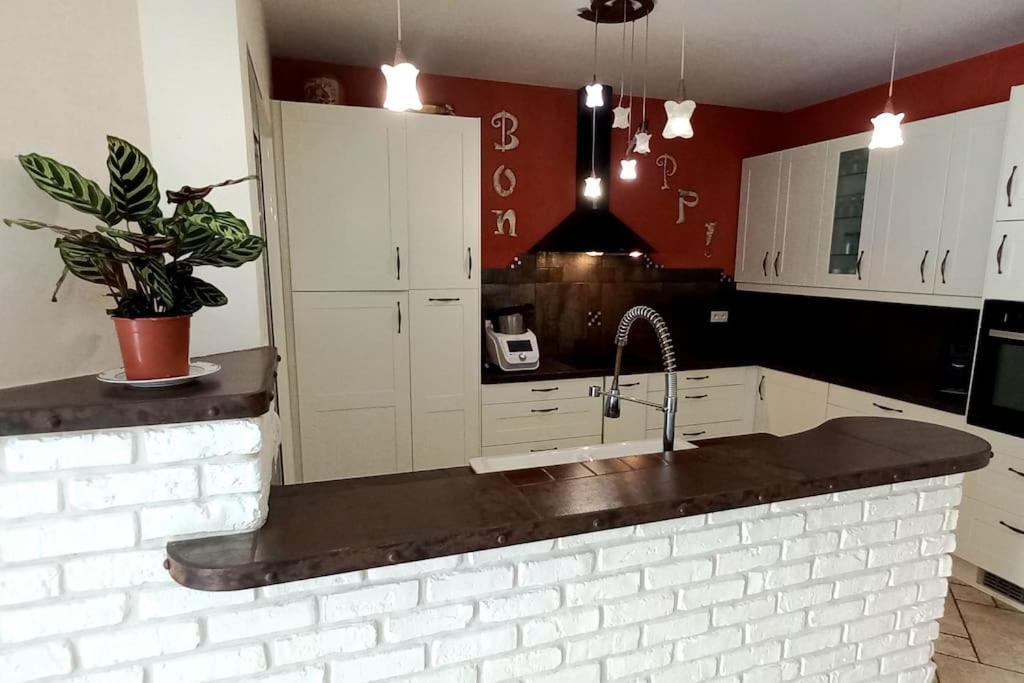 Villa 140 M² Hab. Avec Piscine Castres  Extérieur photo