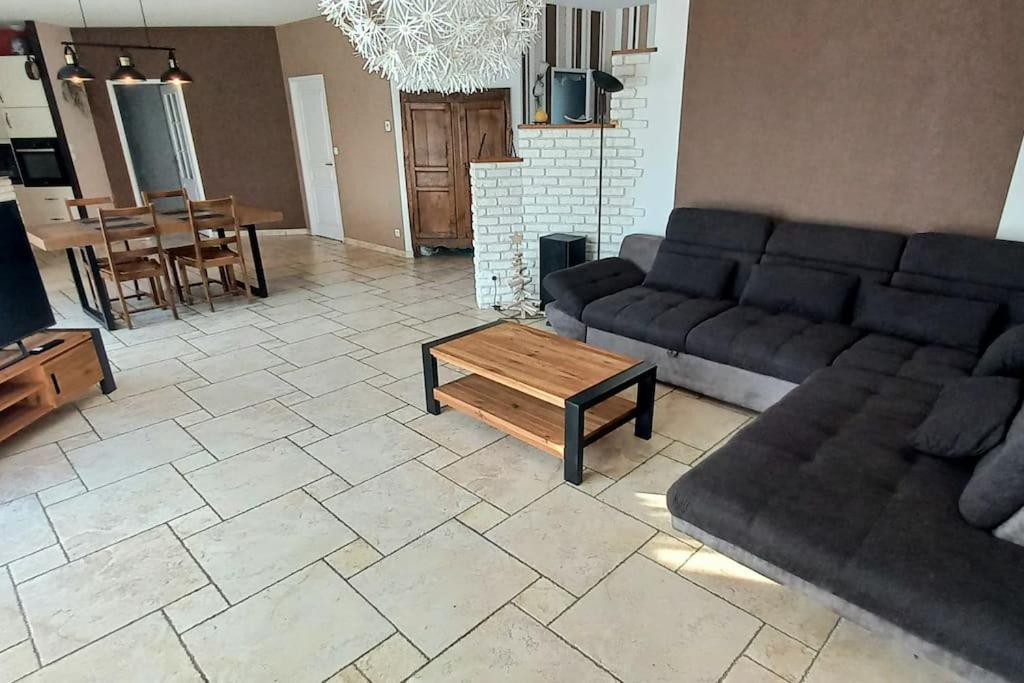 Villa 140 M² Hab. Avec Piscine Castres  Extérieur photo